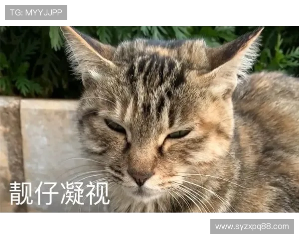 鏂熀鎷夛細浣╂柉鍗℃媺鐬勫噯绫冲叞 21 宀侀潚璁棬灏嗙撼鐡︼紝鎰忎箼鐞冮槦瀵绘眰闂ㄥ皢琛ュ己